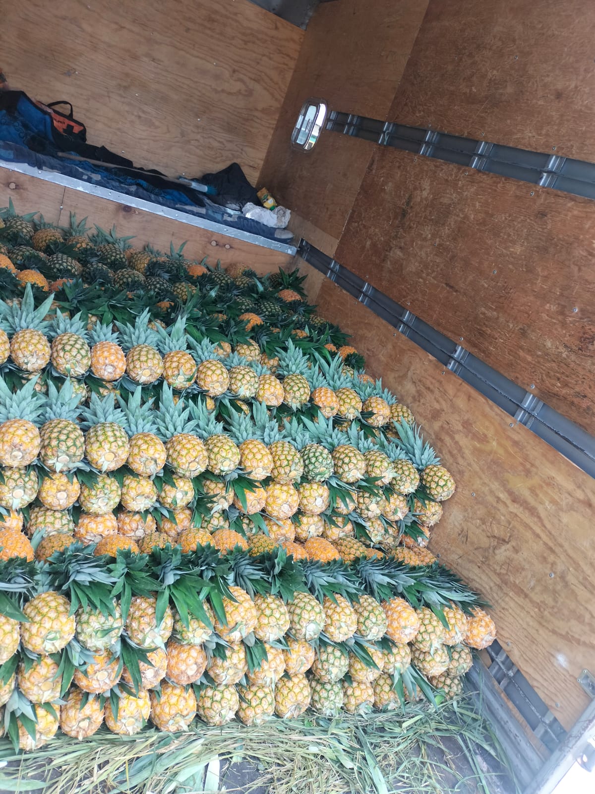 Traslado y montaje de stands